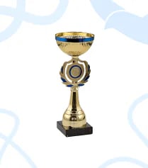 Кубок 12
