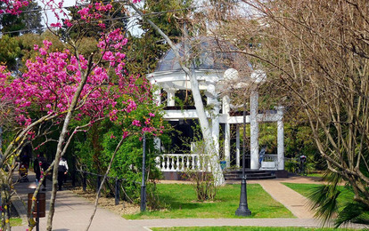 "AKVA-TEMP+" Международный арт-пленэр