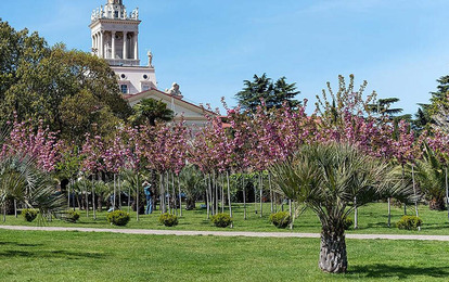 "AKVA-TEMP+" Международный арт-пленэр