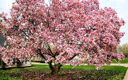 "AKVA-TEMP+" Международный арт-пленэр