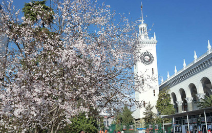 "AKVA-TEMP+" Международный арт-пленэр