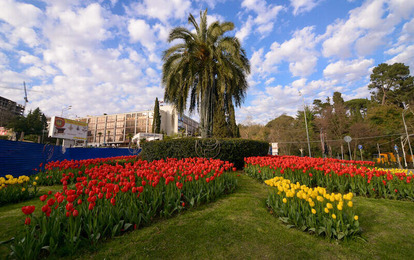 "AKVA-TEMP+" Международный арт-пленэр