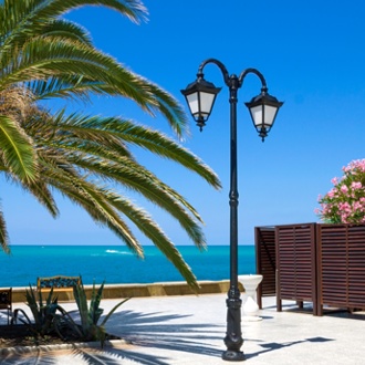 "СТРАНА МАГНОЛИЙ"
XIII Международный арт-пленэр