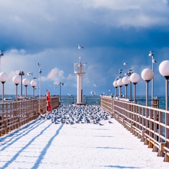 "AKVA-TEMP+"
XLI Международный конкурс-фестиваль музыкально-художественного творчества