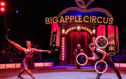 LVIII Международный конкурс циркового искусства «New-Circus»