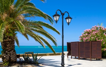 "СТРАНА МАГНОЛИЙ"
XIII Международный арт-пленэр