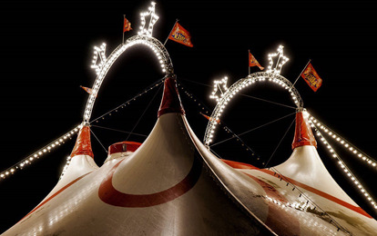 LXXXII Международный конкурс циркового искусства "New-Circus"