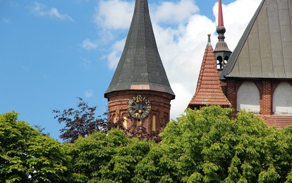 ЗОЛОТО БАЛТИКИ"
XIX Международный конкурс-фестиваль музыкально-художественного творчества