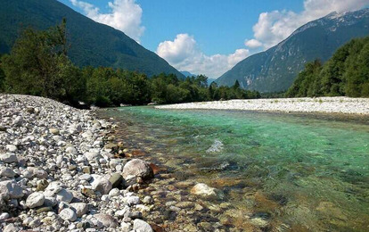 "AKVA-TEMP+"
XXX Международный конкурс-фестиваль музыкально-художественного творчества