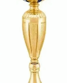 Кубок "Звезды синие"