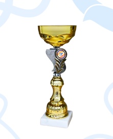 Кубок 16 Свиток