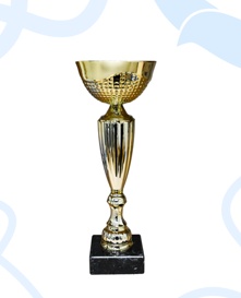 Кубок 10 Космос