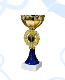 Кубок 13 Хоровод