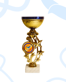 "Звезды в синем тоне"