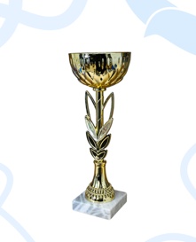 Кубок 11 Колос большой