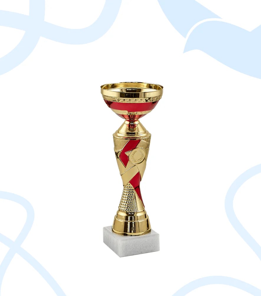Кубок 19