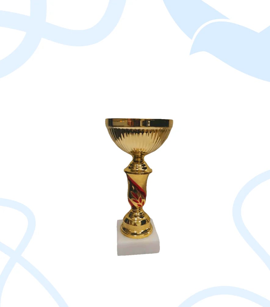 Кубок 35