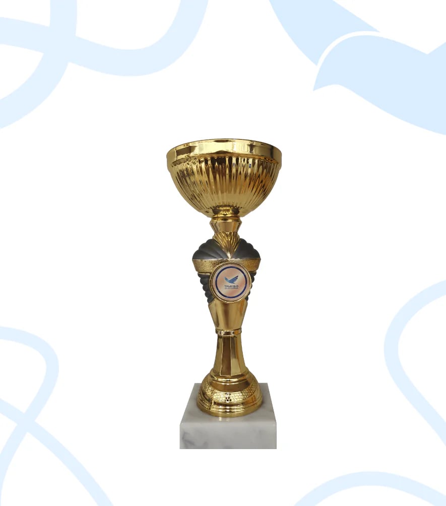 Кубок 243