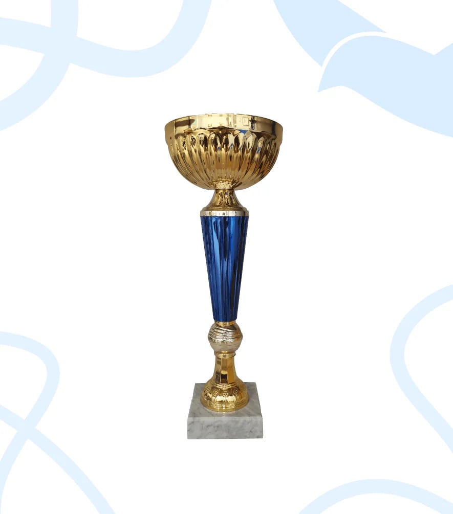 Кубок 89