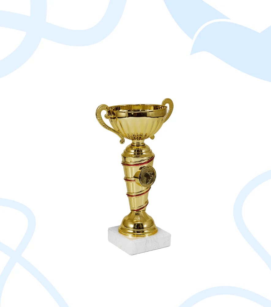 Кубок 43