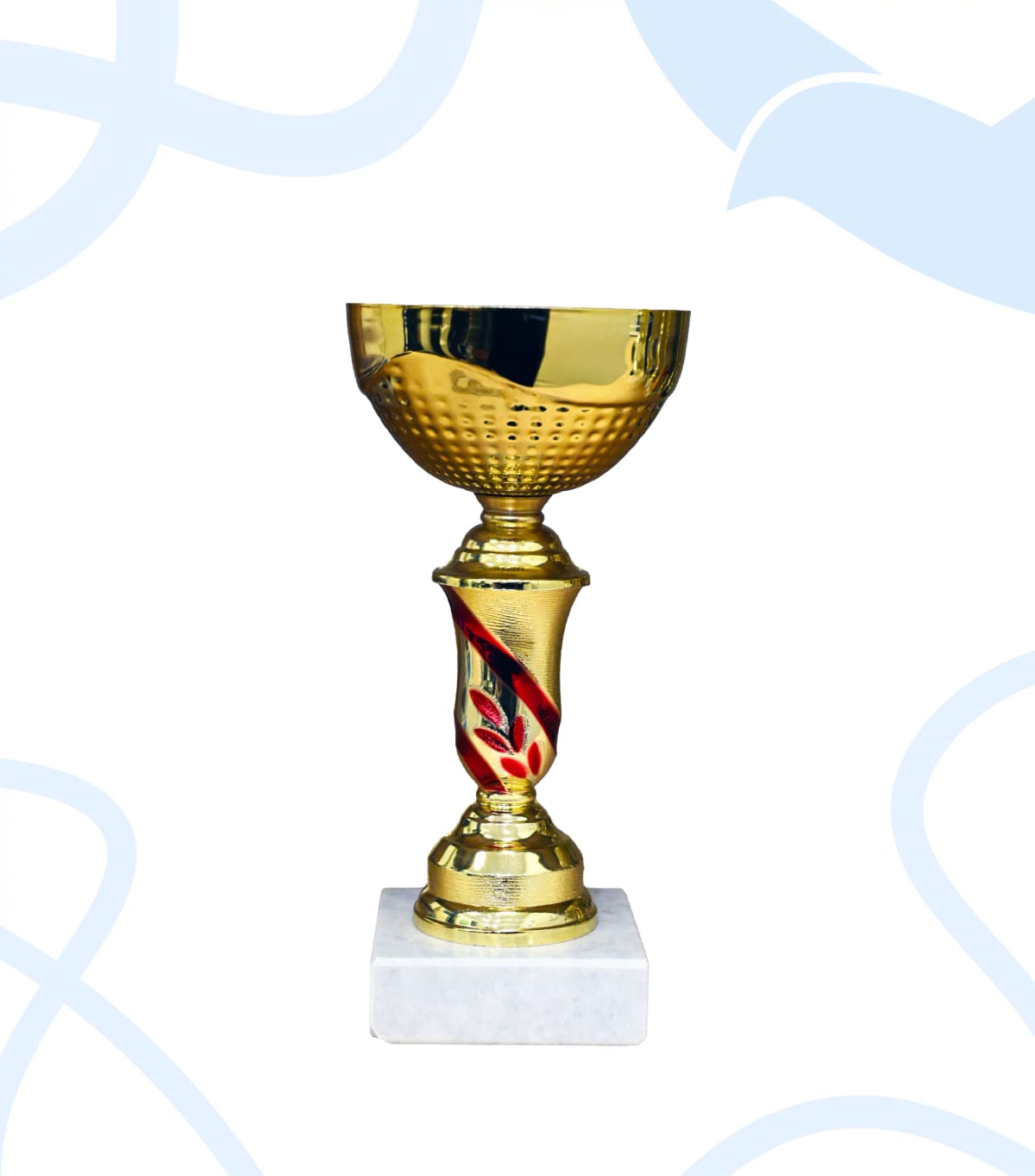 Кубок 09